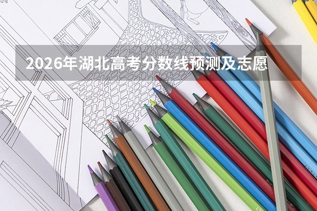 中级专业技术及以上技术职称